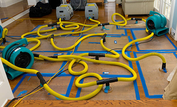 Professional Water Damage Restoration technician working in Pomerene, AZ