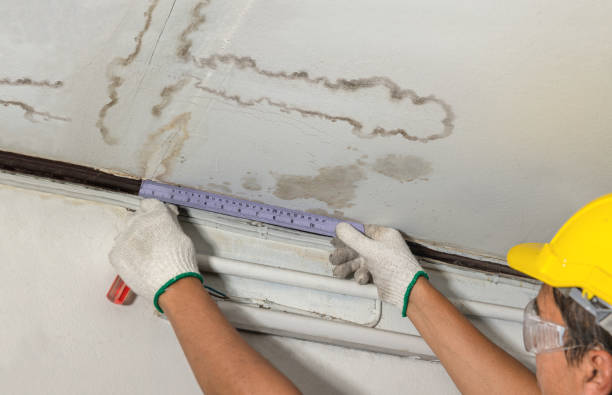 Affordable Water Damage Restoration solutions in Pomerene, AZ